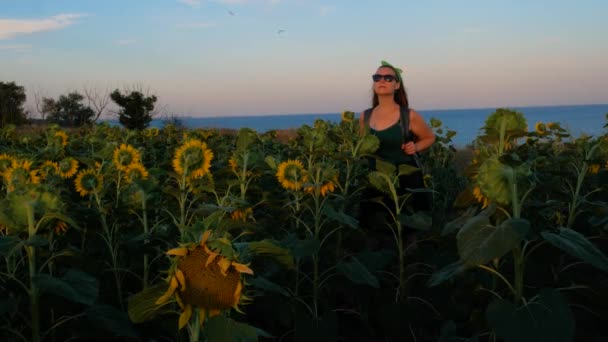 Urocza Młoda Dziewczyna Okularach Przeciwsłonecznych Żółtym Polu Słoneczników Zachodnim Brzegu — Wideo stockowe