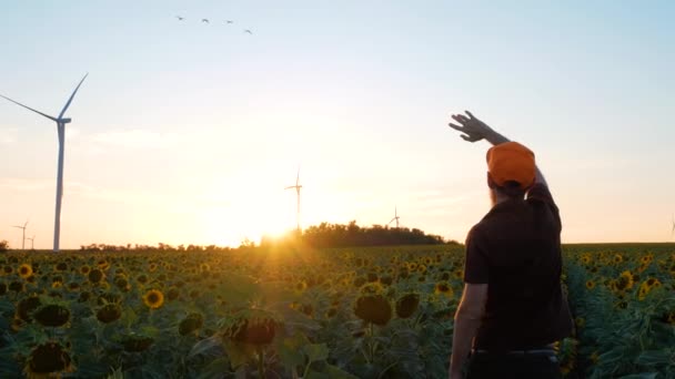 Jeune homme en casquette orange dans les cultures de tournesol jaune champ avec éoliennes ferme sur le paysage du coucher du soleil. Touristique sur la campagne fleurs du soir regardant le ciel. Voyages locaux, concept d'énergie verte écologique.