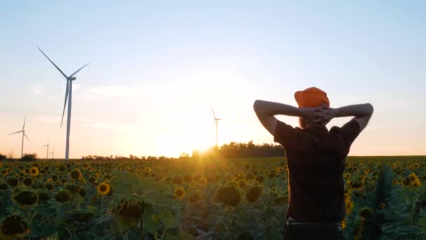 夕日の風景の上に風力タービン農場と黄色のひまわり畑でオレンジ色のキャップの若い男 田舎の夜の花は空を見て観光客 地元の旅行 エコグリーンエネルギーの概念 — ストック動画