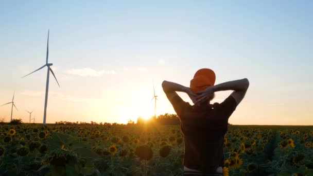 Giovane Berretto Arancione Campo Giallo Girasoli Colture Con Turbine Eoliche — Video Stock