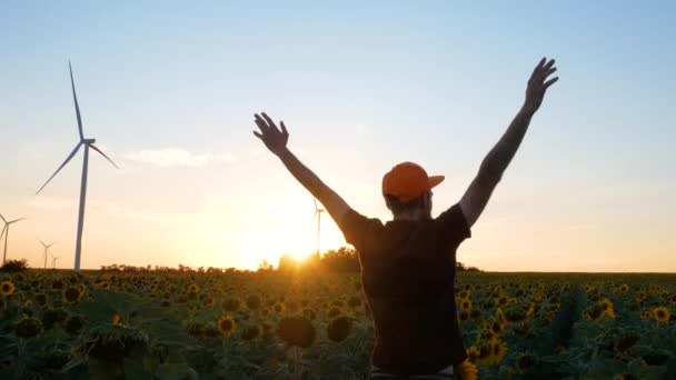 Hombre Joven Gorra Naranja Girasoles Amarillos Cultivos Campo Con Turbinas — Vídeo de stock