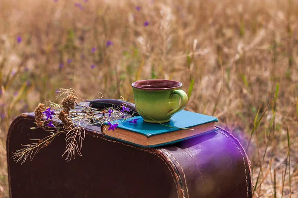 Brown vintage suitcase with old book, dried wild purple flowers and cup of tea on grass background. Atmospheric retro autumnal still life. Morning breakfast outdoor wallpaper, post card.