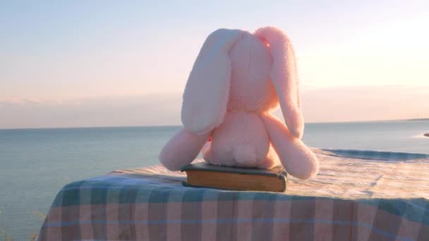 Lapin Rose Assis Sur Livre Vintage Regardant Paysage Marin Amitié — Video