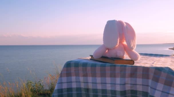 Różowy Królik Siedzący Zabytkowej Książce Patrzący Morski Krajobraz Przyjaźń Idea — Wideo stockowe