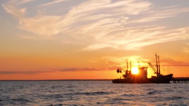 海水上美丽的橙色落日 码头上的运输船晚上在海岸上停靠 海运物流 美丽的海景 多彩的云天 — 图库视频影像