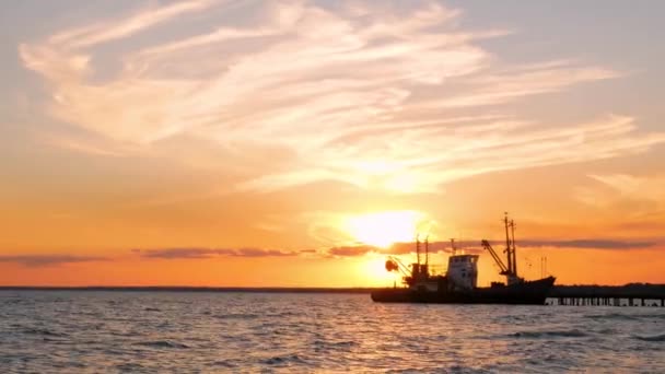 바다에서의 아름다운 주황색 저녁에 항구에 정박중인 수송선 해안에 있습니다 바다를 — 비디오