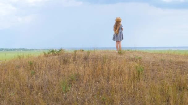 丘だけで立って柔らかいおもちゃでヴィンテージのドレスやわらの帽子で愛らしい女の子 田舎の風景の野生の草の中にかなり孤独な子供 家族の散歩 地元のハイキング旅行のコンセプト — ストック動画