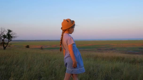 Dziewczynka Słomkowym Kapeluszu Niebieskiej Sukience Kratę Polu Trawy Dzikimi Kwiatami — Wideo stockowe