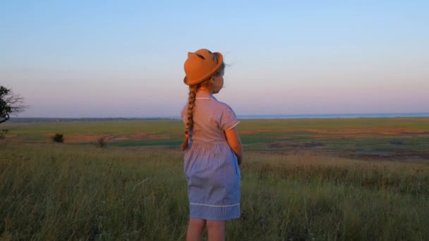 わらの帽子と青の小さな女の子は日没の野生の花と芝生のフィールドでドレスを果たした 田舎の風景の上に長いブロンド編組髪を持つ幸せな子供 夕方歩く子供の屋外 — ストック動画
