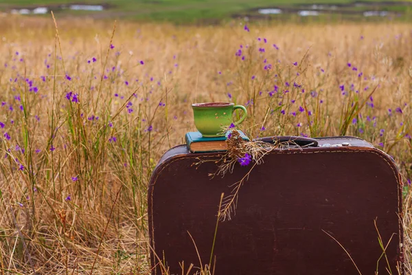 Brown vintage suitcase with old book, dried wild purple flowers and cup of tea on grass background. Atmospheric retro autumnal still life. Morning breakfast outdoor wallpaper, post card.