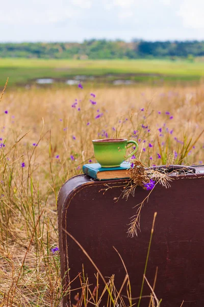Brown vintage suitcase with old book, dried wild purple flowers and cup of tea on grass background. Atmospheric retro autumnal still life. Morning breakfast outdoor wallpaper, post card.