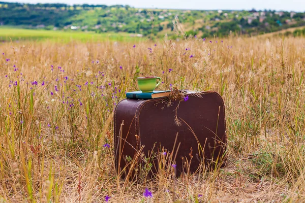 棕色的老式行李箱 有旧书 干燥的紫花和一杯茶在草地的背景 大气回溯秋天静谧的生命 早上早餐户外墙纸明信片 — 图库照片