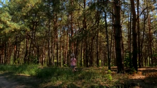 Enfant Fille Marchant Dans Forêt Avec Hauts Pins Eco Tourisme — Video