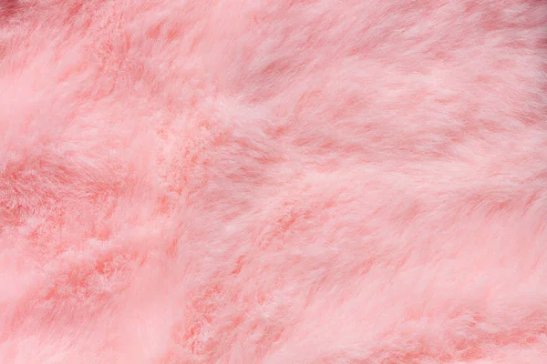 Pink fur texture top view. Coral fluffy fabric coat background. Winter fashion color trends feminine flat lay, female blog backdrop for text signs desidgn. Girly abstract wallpaper, textile surface.