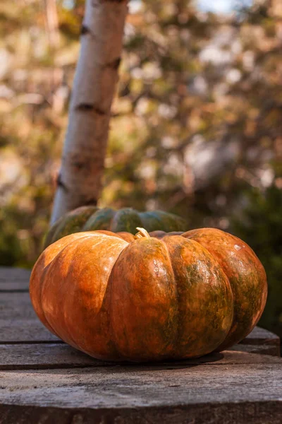 Tök Dekoráció Padon Szabadban Halloween Hálaadás Napján Szezonális Őszi Tapéta — Stock Fotó