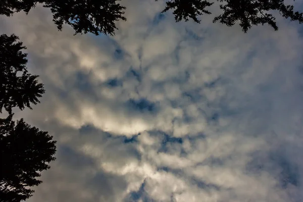 Rijke Blauwe Lucht Bedekt Met Helder Grijs Wit Rode Cumulonimbus — Stockfoto