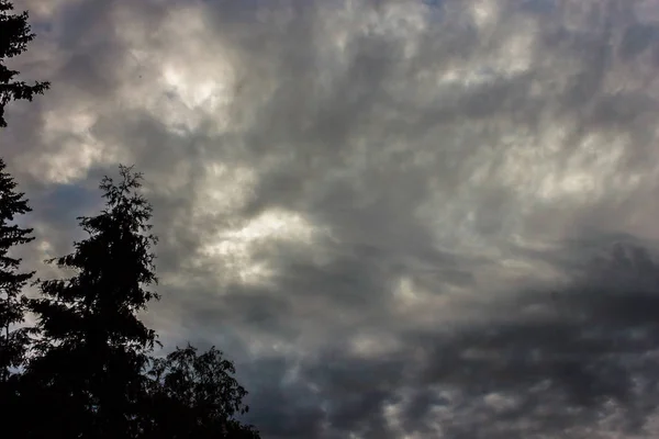 明るい灰色の白い赤いクムロニムバス雲で覆われた豊かな青い空と夕日の明るい光線によって照らされ停止 — ストック写真