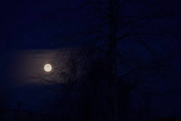 La luna en el cielo nocturno en la versión horizontal. Luz de luna, como una gran mancha en las nubes de cirros. Siluetas de ramas de árboles enmarcan la luna en un lado . — Foto de Stock