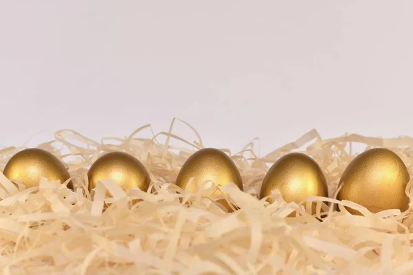 칩에 있는 5 개의 황금 계란은 프레임의 바닥을 따라 둥지. 위의 전면 보기. 부드러운 빛. — 스톡 사진
