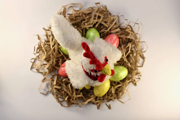 Poulet dans un nid ondulé avec des œufs de Pâques colorés. Poulet dans un nid ondulé avec des œufs de Pâques colorés. Avec lumière visible. Vue d'en haut. Vue d'en haut . — Photo