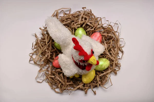 Poulet dans un nid ondulé avec des œufs de Pâques colorés. Vue d'en haut . — Photo