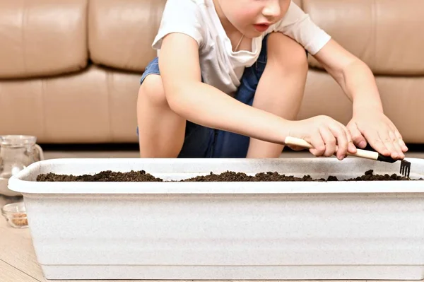 A child of about five years working as a rake in a garden pot. Squatting on the floor in the room. — Stock Photo, Image