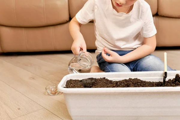 The child sits in front of the flowerpots and pours water from the jug into the ground. — Stock Photo, Image