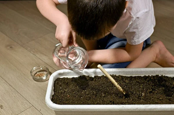 The child pours a thin stream of water from the jug to the ground in the flowerpots. — Stock Photo, Image