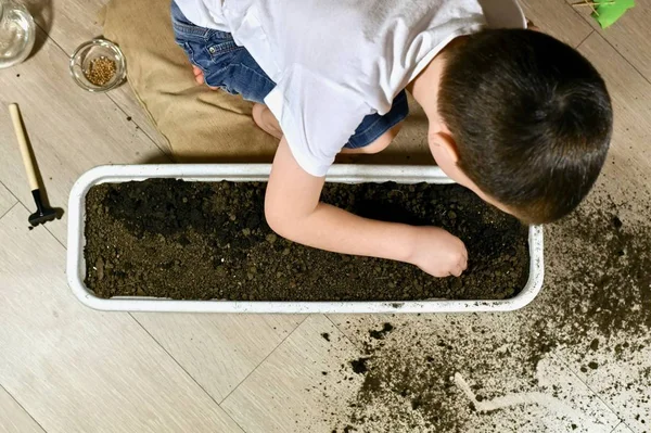 A child with one hand gently makes grooves in the ground for planting seeds in pots. — Stock Photo, Image