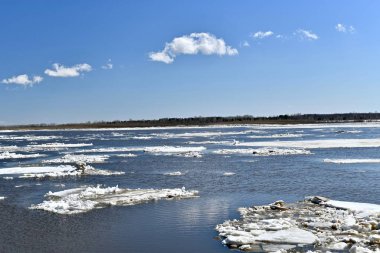 Buz kayması. Ob Nehri'nde bahar, sıcak bir Mayıs gününde.