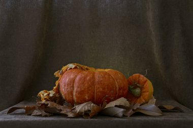 Tohumları içten dışa asılı olgun bir turuncu kabak ve yeşil bir sapı ile yakındaki kesilmiş şapka kapağı. Kuru sonbahar yaprakları arasında kadife kahverengi bir arka plan üzerinde.