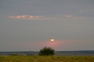 Lullaby sunset light for a lonely bush in the steppe performed by a part of the semicircular sun. clipart