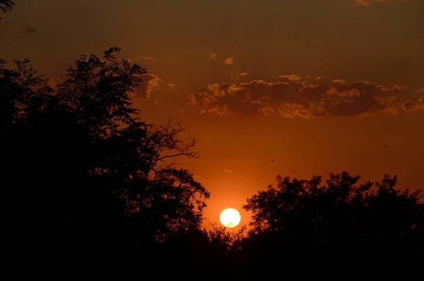 El sol se está poniendo. Puesta de sol. Nube. Rayos débiles. Las aves pasan volando . —  Fotos de Stock