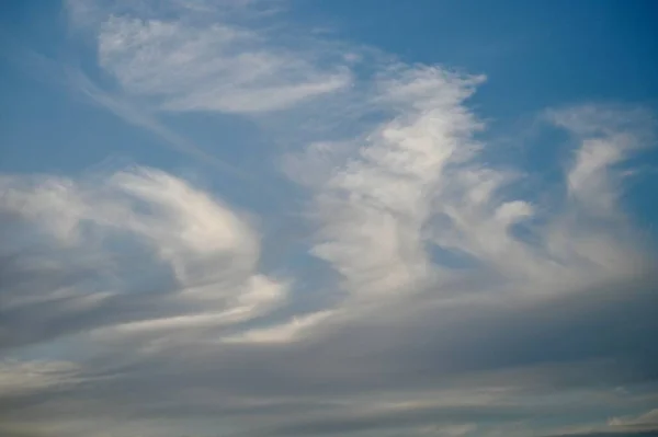 Las Nubes Forma Textura Son Similares Fabuloso Pájaro Blanco Esponjoso — Foto de Stock