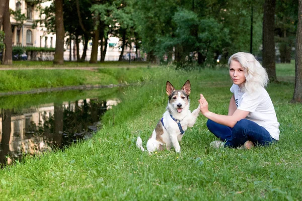 girl give five to her dog, plaing in the park on the grass