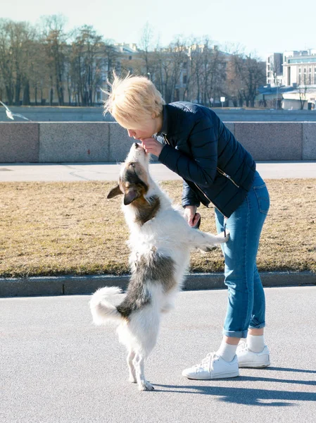 girl is kissing her dog, woman is walking, playing with her dog in the park, training