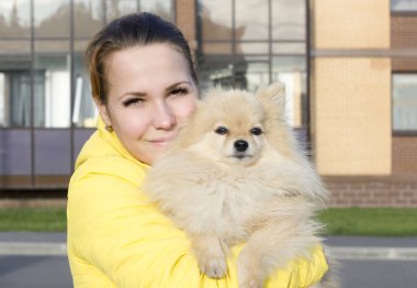 Pomeranian spitz köpeğini elinde tutan mutlu neşeli genç kadın kameraya bakıyor. Kız onu küçük kabarık sevimli köpek yavrusu, sonbahar güneşli soğuk serin gün ile yürüyor. İnsanlar evcil hayvan konseptini seviyorlar..
