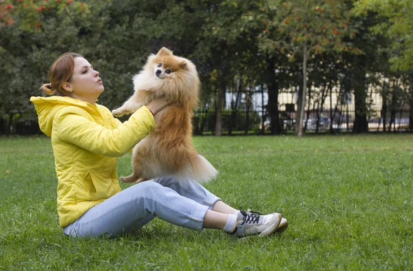 Chica Está Jugando Abrazando Sosteniendo Las Manos Lindo Perro Pomeranian — Foto de Stock