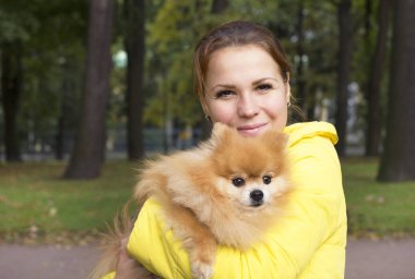 Elleri onu minyatür Pomeranian Spitz köpek ile Mutlu neşeli kız, kollar gülümseyerek, kameraya bakarak. Genç kadın sonbahar veya yaz parkı sevimli kabarık köpek yavrusu ile yürüyüş.