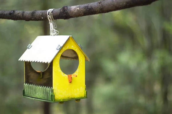 Drewniana Żółta Zielona Birdhouse Dla Ptaków Wiszących Gałęzi Drzewa Lesie — Zdjęcie stockowe