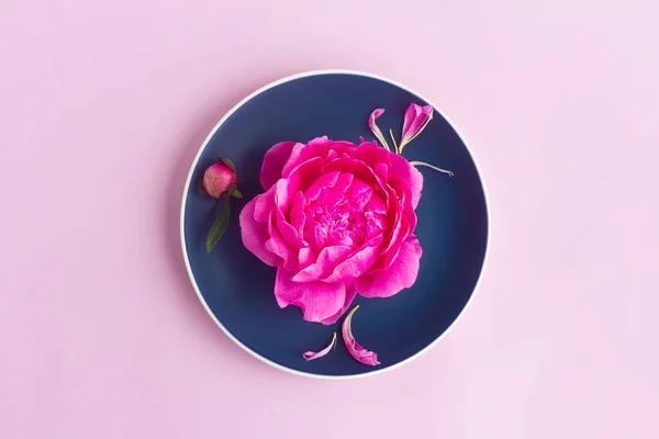 Blume Pfingstrose Knospe Auf Rosa Teller Auf Grünem Hintergrund Draufsicht — Stockfoto