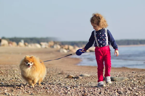 Niña, la niña está caminando con una correa con su amigo Pomeranian Spitz perro en una playa a lo largo del mar — Foto de Stock
