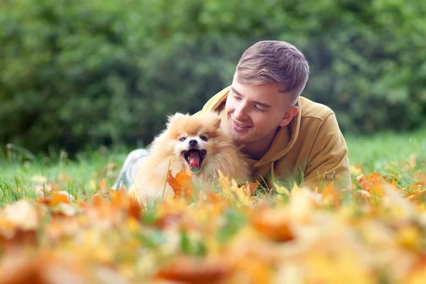 Młody, szczęśliwy, przystojny mężczyzna leżący ze swoim pięknym przyjacielem Pomorskim pieskiem w złotym jesiennym parku na trawie i kolorowych liściach, uśmiechnięty — Zdjęcie stockowe