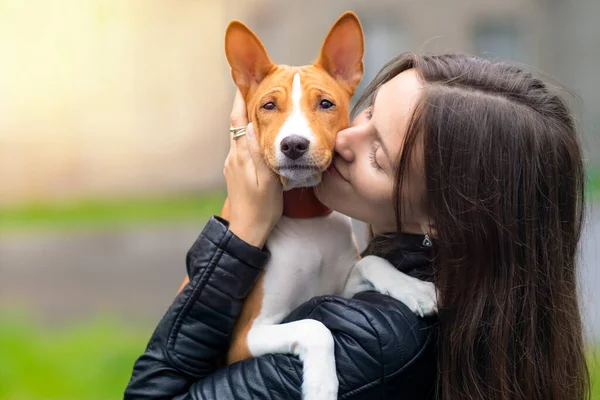 Joven mujer bonita está abrazando, agarrándose de las manos y besando a su perro pedigrí Basenji en el día soleado — Foto de Stock