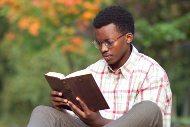 Altın sonbahar parkında kitap okuyan, gözlüklü ve tişörtlü, ciddi şekilde konsantre olmuş, Afro-Amerikan zeki bir adamın portresi.