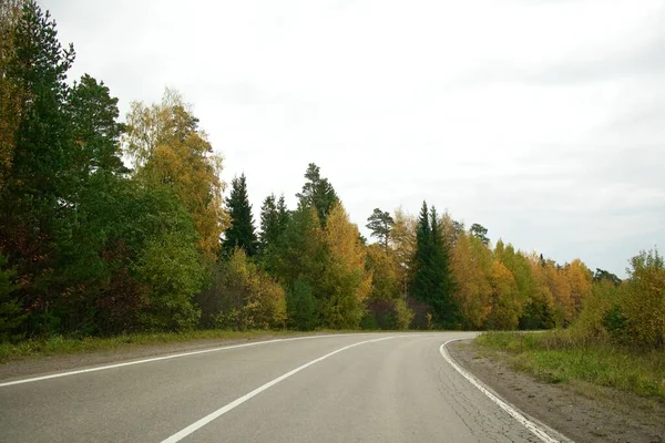 Пустая асфальтовая дорога в сельской местности в золотой осенний день — стоковое фото