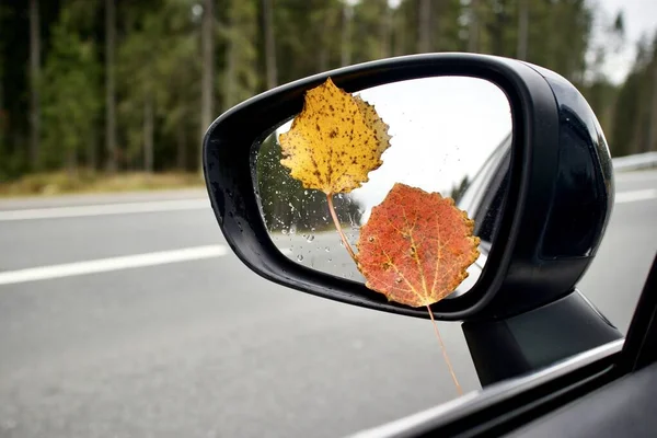 Kolorowe jesienne liście na lusterku bocznym, lusterko wsteczne samochodu na drodze — Zdjęcie stockowe