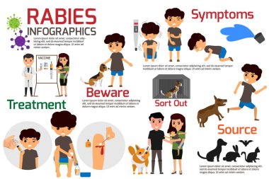 Rabies Infographics. Illustration of rabies describing symptoms and medications or vaccine. vector illustrations. clipart