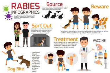 Kuduz Infographics. Belirtiler ve ilaçlar veya aşı açıklayan kuduz Illustration. vektör çizimler.