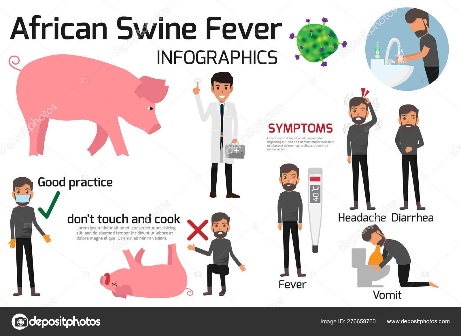African Swine Fever virus (ASF) infographics elements. health an Stock